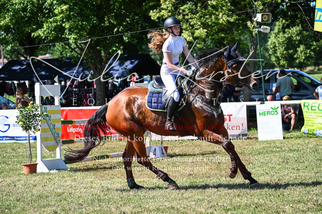 DSC_1675 | Pferde- und Turnierfotografie in Westsachsen. Pferdeportraits, Auftragszeichnungen und intuitive Kunst.