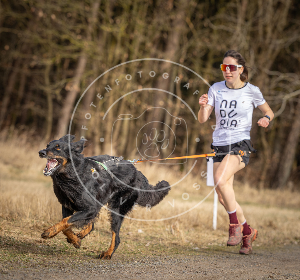 DV3A3635 | Hundefotografie, Tierfotograf, Pfotenfotografie, Fotoshooting Hund, Hunde Portrait, Hundesport, Hundeportraits, Heideshooting, Hunde, Sportfotograf, Hundefotograf, Turnierhundsport, THS,  - Realisiert mit Pictrs.com