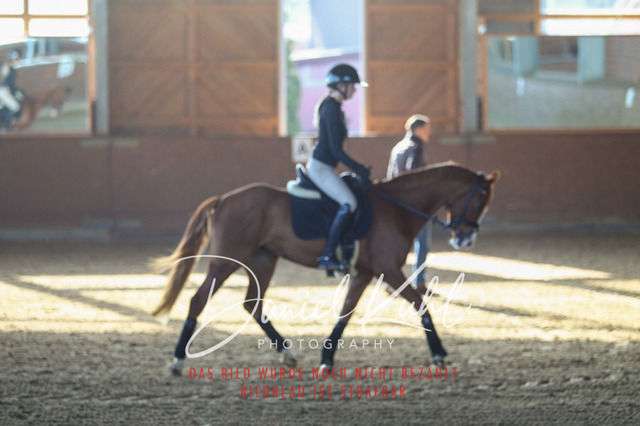 DKP42142 | Turniersportfotografie; Pferdefotografie; Dressurfotografie