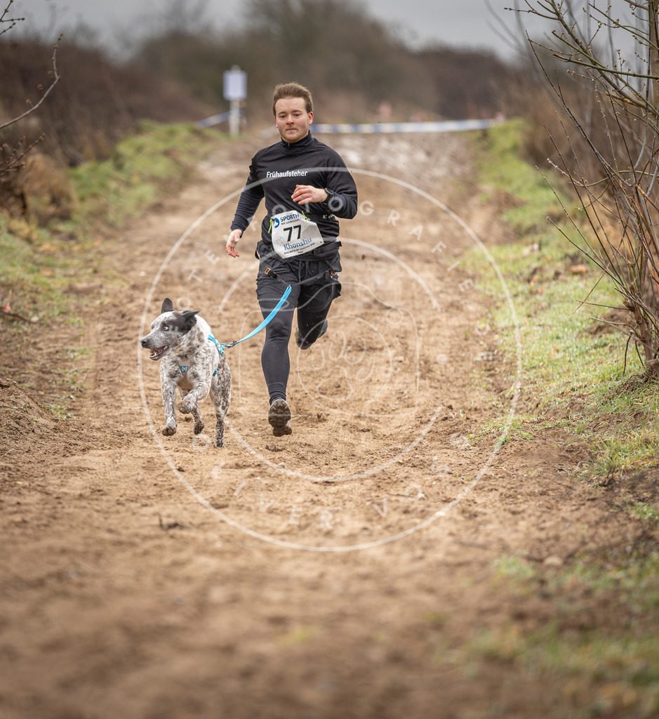 DV3A9797 | Hundefotografie, Tierfotograf, Pfotenfotografie, Fotoshooting Hund, Hunde Portrait, Hundesport, Hundeportraits, Heideshooting, Hunde, Sportfotograf, Hundefotograf, Turnierhundsport, THS,  - Realisiert mit Pictrs.com