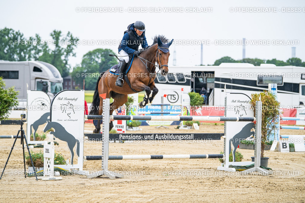 DSC09087 | Pferdegrafie