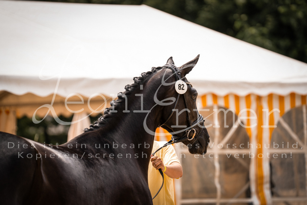 4.Fr00126 | Leoni Ertmer Photography - Realisiert mit Pictrs.com