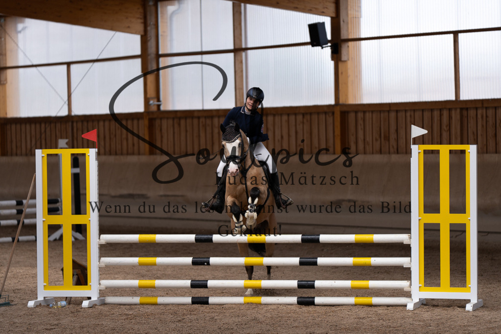 A7507503 | Pferdefotograf