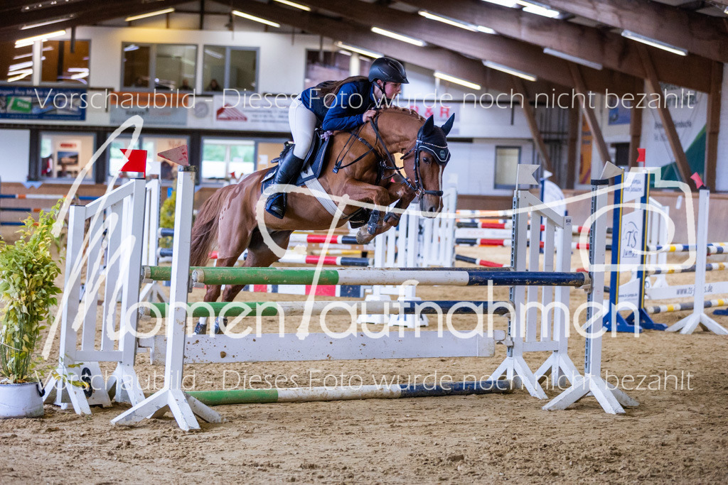 Sth-A-Springen-091 | MomenTaufnahmen Pferdesportfotos