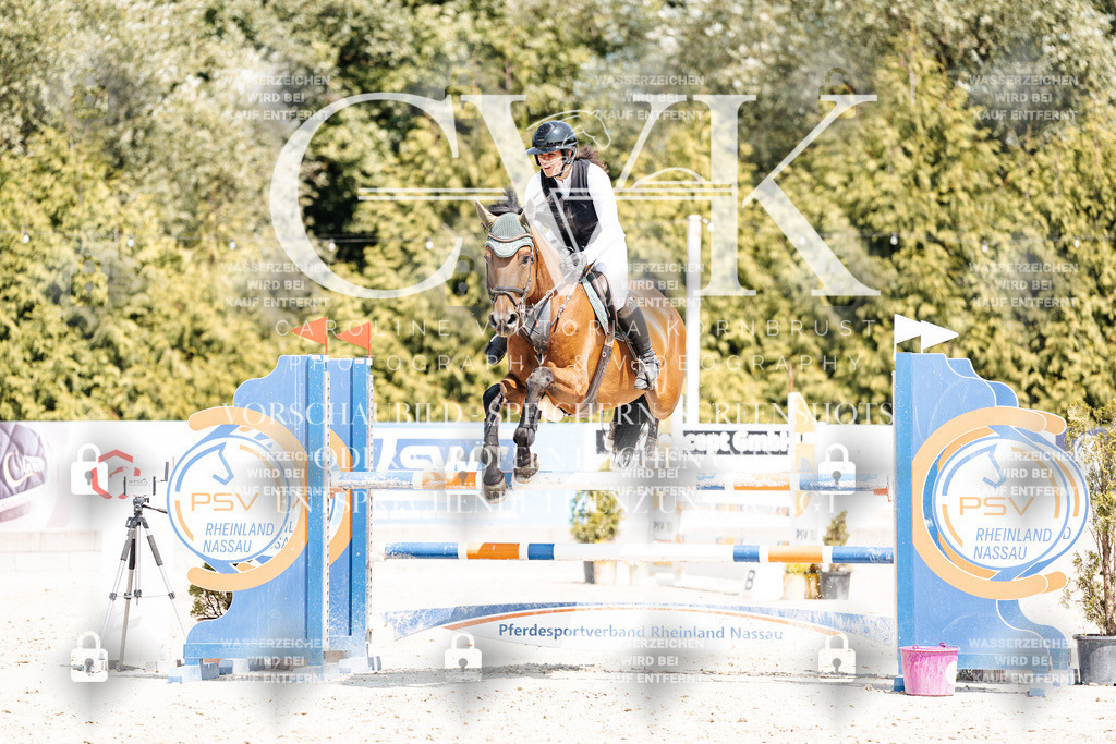 CK901099 | Turnierfotografie Pferdefotografie Trier Rheinland-Pfalz Pferdesport Reitsport Tierfotografie Sportfotografie Pferdevideo Pferdevideografie Equestrianvideography equestrianphotography  - Realisiert mit Pictrs.com