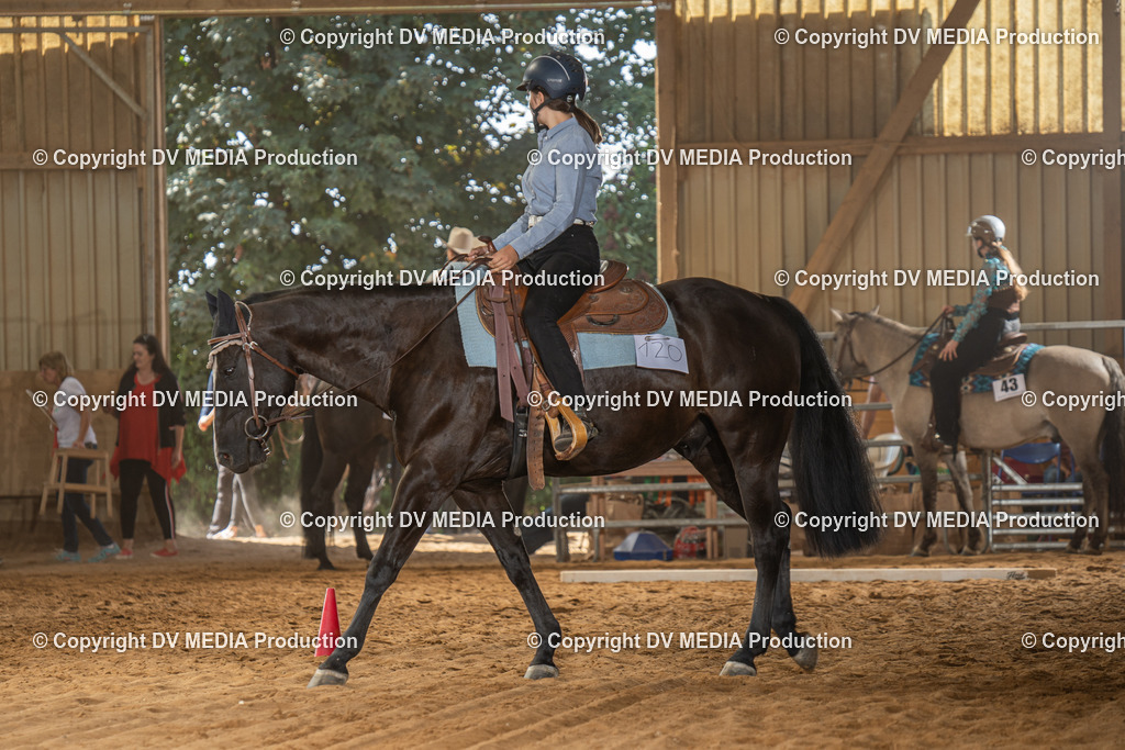 NID02945 | dv-media-shop - Realisiert mit Pictrs.com