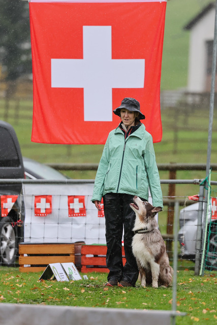 2025_Rally_Obedience_SM-210 | Ich fotografiere Hundeausstellungen, Sportanlässe, Zuchtstätten, Hundezucht, Hundeportrait, Lagotto - Realisiert mit Pictrs.com
