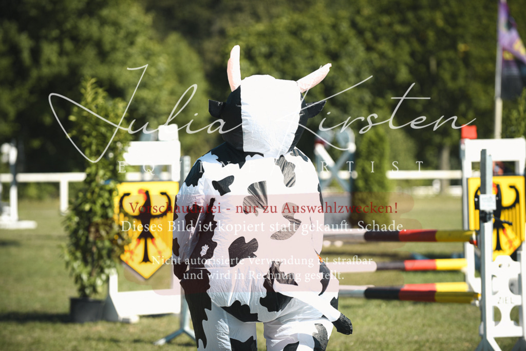 DSC_7756 | Pferde- und Turnierfotografie in Westsachsen. Pferdeportraits, Auftragszeichnungen und intuitive Kunst.