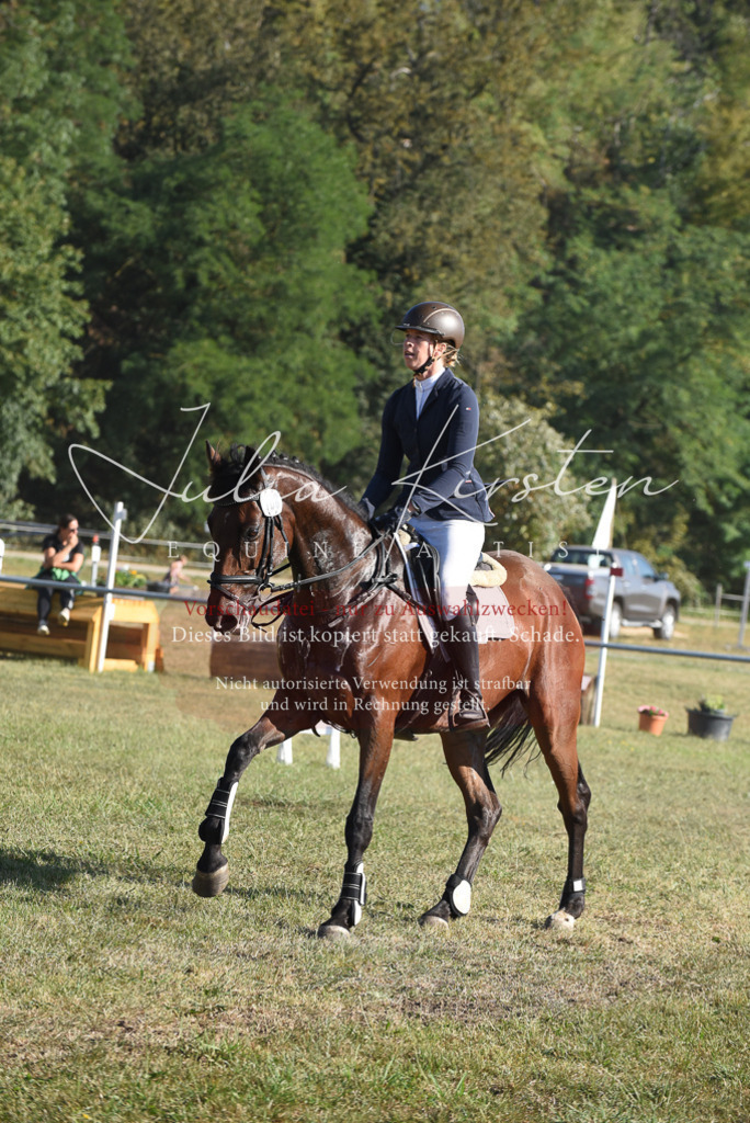 DSC_5290 | Pferde- und Turnierfotografie in Westsachsen. Pferdeportraits, Auftragszeichnungen und intuitive Kunst.