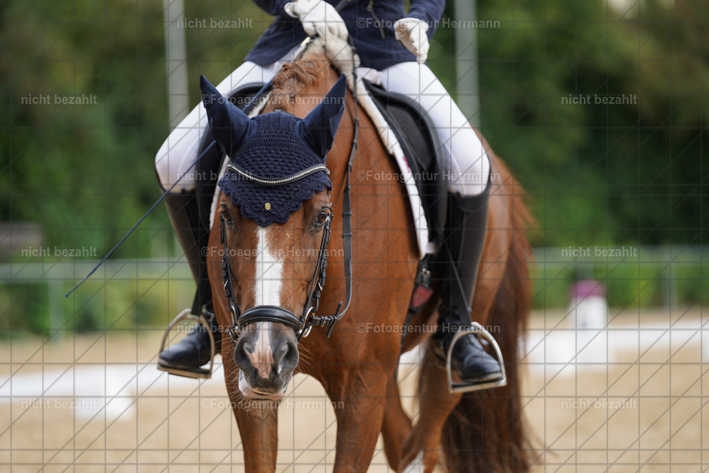 20240825-FAH00269 | Turnierbilder, Reitsportfotos, LAPO, Landesponyturnier, Turnierfotografen Bayern