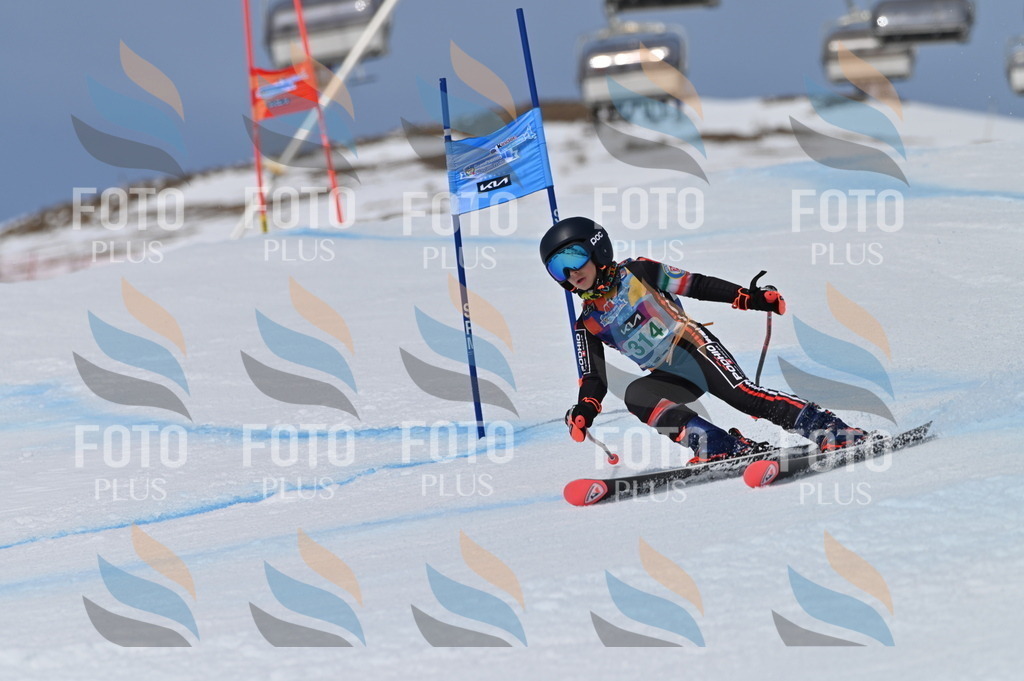 BGV_6224 | holidayphoto