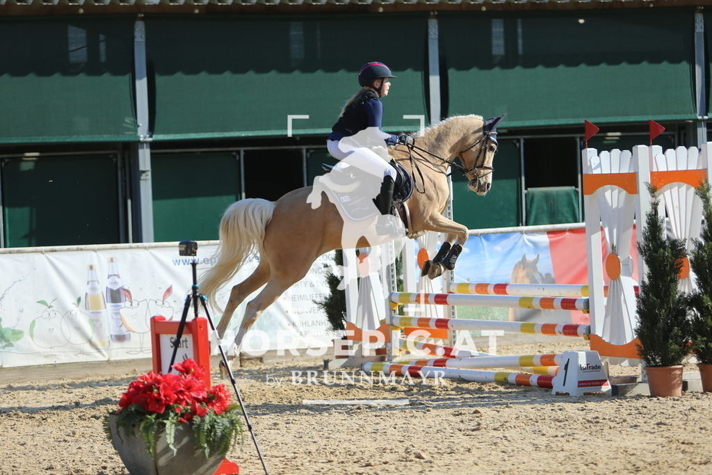 DL2Q2134 | Willkommen bei Brunnmayr - Design & Fotografie – Ihrem Spezialisten für Reitturniere und Pferdeveranstaltungen in Oberösterreich, Salzburg und Bayern! Seit über 17 Jahren sind wir leidenschaftlich dabei.
