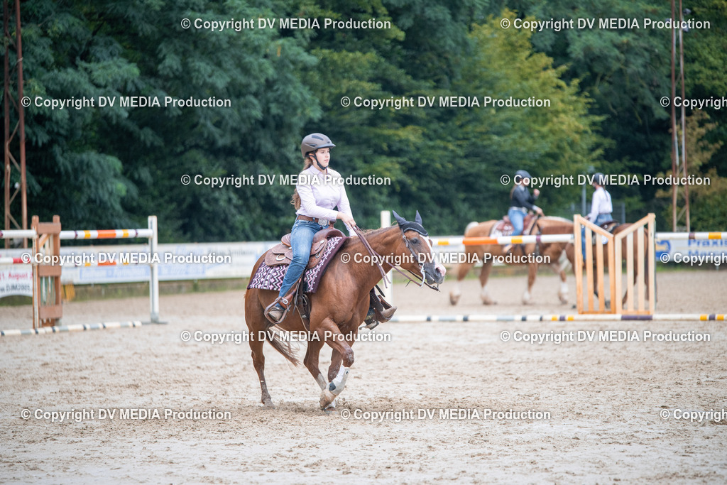 ZS2_4133 | dv-media-shop - Realisiert mit Pictrs.com