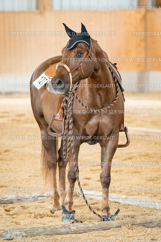 DSC07034 | Pferdegrafie