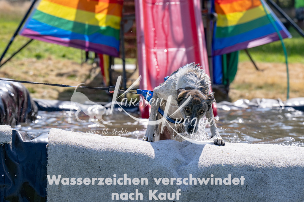 1402_ZZ92909 | kk-dogfotos