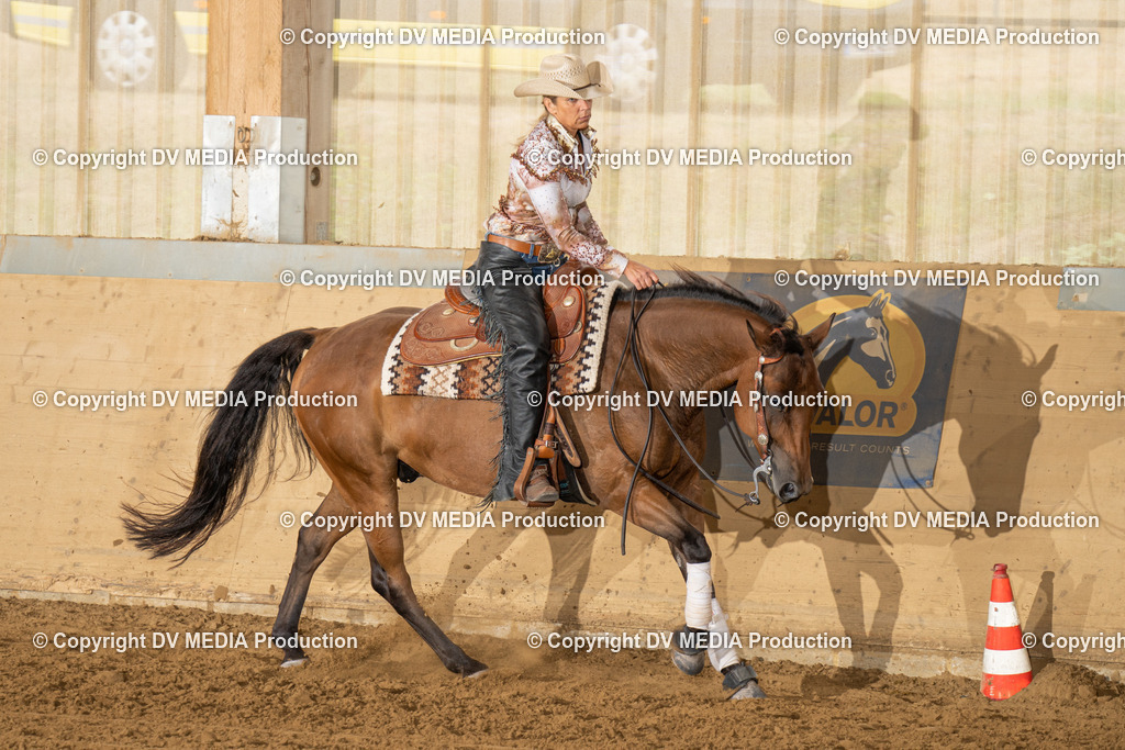 LAU01520 | dv-media-shop - Realisiert mit Pictrs.com