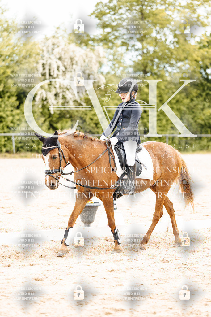 CK904689 | Turnierfotografie Pferdefotografie Trier Rheinland-Pfalz Pferdesport Reitsport Tierfotografie Sportfotografie Pferdevideo Pferdevideografie Equestrianvideography equestrianphotography  - Realisiert mit Pictrs.com