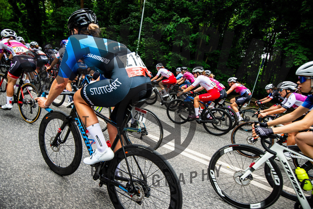 _DSC4806 | Drew Kaplan Photography