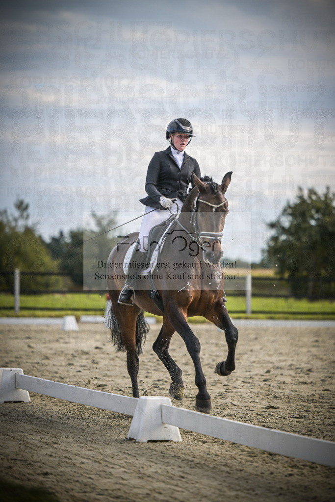 DOS_1728 | Entdecke hochwertige Reitturnierfotos von Foto Oger. Professionell, emotional und authentisch – jetzt Lieblingsmomente im Shop bestellen.Deutschlandweite Turnierfotografie. - Realisiert mit Pictrs.com
