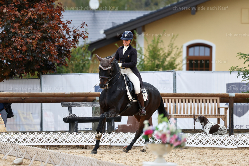 11-191-Dressur S___-StoibPH-901 | working equitationturnier fotograf videograf stoibphotography marixx film working equitation deutschland reitsport turnierfotografie eventfotografie equestrian events
