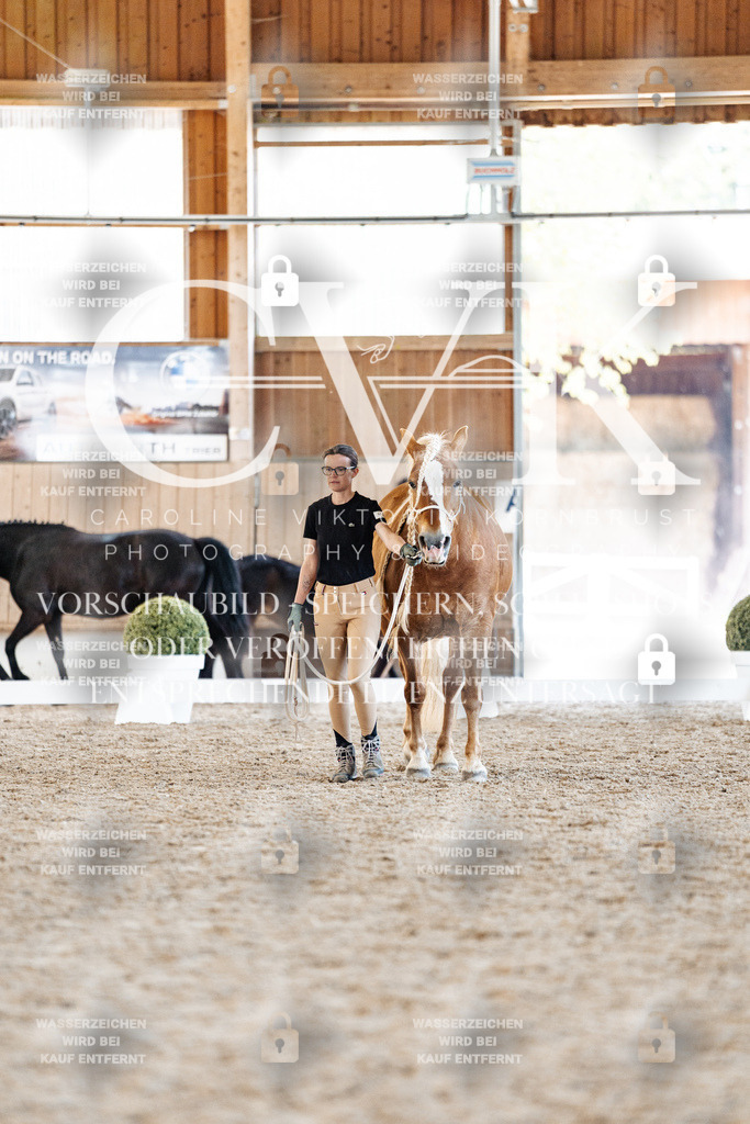 CK906696 | Turnierfotografie Pferdefotografie Trier Rheinland-Pfalz Pferdesport Reitsport Tierfotografie Sportfotografie Pferdevideo Pferdevideografie Equestrianvideography equestrianphotography  - Realisiert mit Pictrs.com