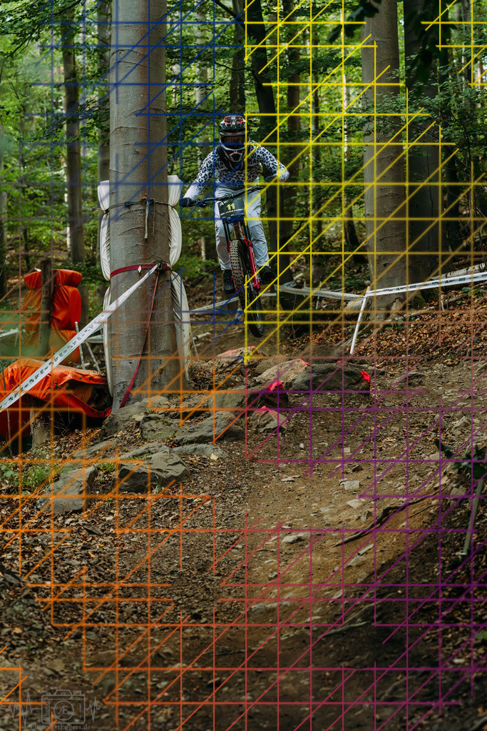 PAE-2412 | Einzigartige Fotokunst für dein Zuhause: Entdecke hochwertige Wandbilder, edle Prints und emotionale Motive von Wildlife, Natur und Landschaften - Realisiert mit Pictrs.com