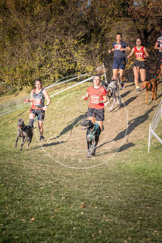 CaniXpix_0L8A9783 | Hundefotografie, Tierfotograf, Pfotenfotografie, Fotoshooting Hund, Hunde Portrait, Hundesport, Hundeportraits, Heideshooting, Hunde, Sportfotograf, Hundefotograf, Turnierhundsport, THS,  - Realisiert mit Pictrs.com