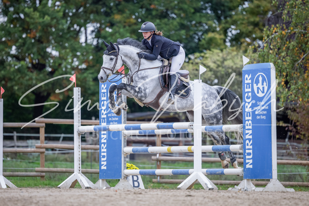 20251012-_3LI5039 | Tierfotografie Pferde, Hunde, Katzen, Haustiere.
Turnierfotografie Reitturniere, Reiten, Springreiten, Dressur in Hanau, dem Main-Kinzig-Kreis und dem Rhein-Main- Gebiet um Frankfurt