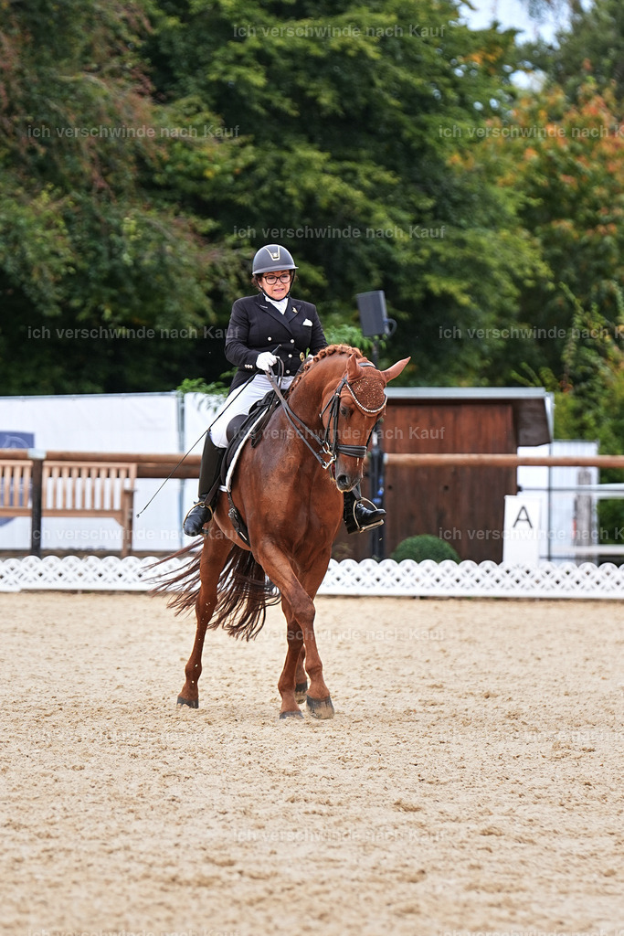 11-023-Dressur S___-Marixx-1679 | working equitationturnier fotograf videograf stoibphotography marixx film working equitation deutschland reitsport turnierfotografie eventfotografie equestrian events