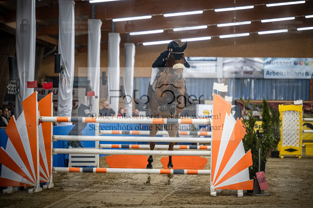 DOS_0110 | Entdecke hochwertige Reitturnierfotos von Foto Oger. Professionell, emotional und authentisch – jetzt Lieblingsmomente im Shop bestellen. - Realisiert mit Pictrs.com