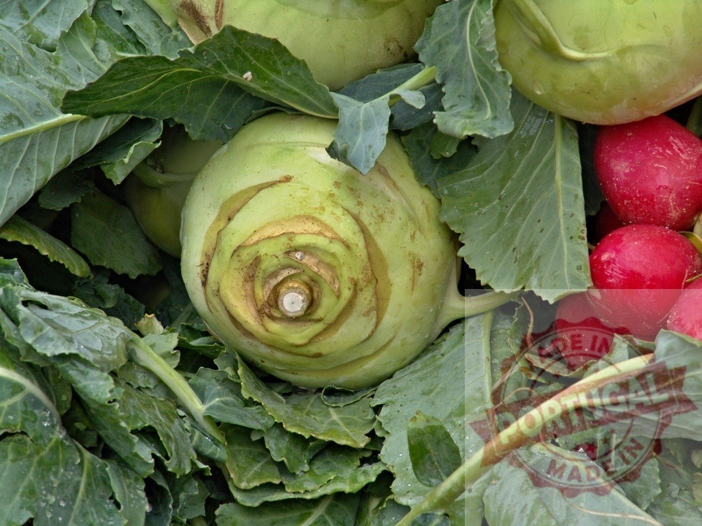 Kohlrabi and fresh radish with green leaves | Freshly harvested kohlrabi and radishes on display at a farmers market - Realisiert mit Pictrs.com