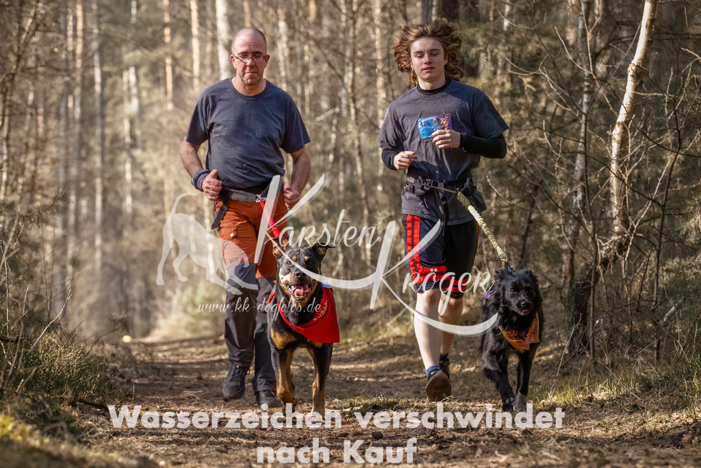 1316_ZZ94531-Bearbeitet | kk-dogfotos