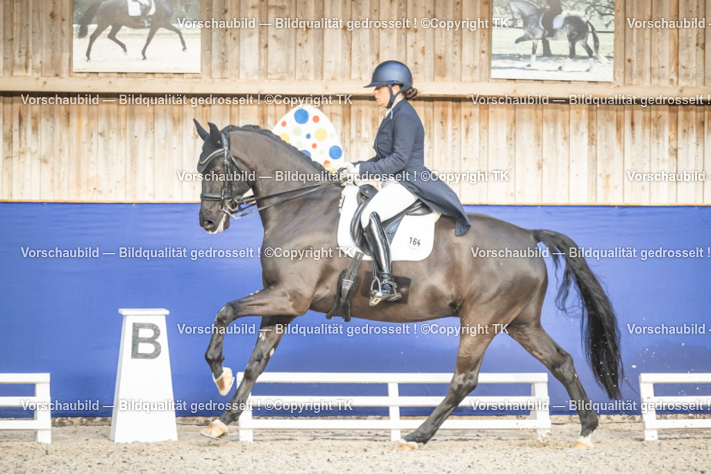 _D5A8349 | Emotionale Pferde- & People-Fotografie rund um Heidelberg, Leimen & Umgebung. Natürliche Fotos von Pferd, Mensch & Familie. Jetzt Termin sichern!