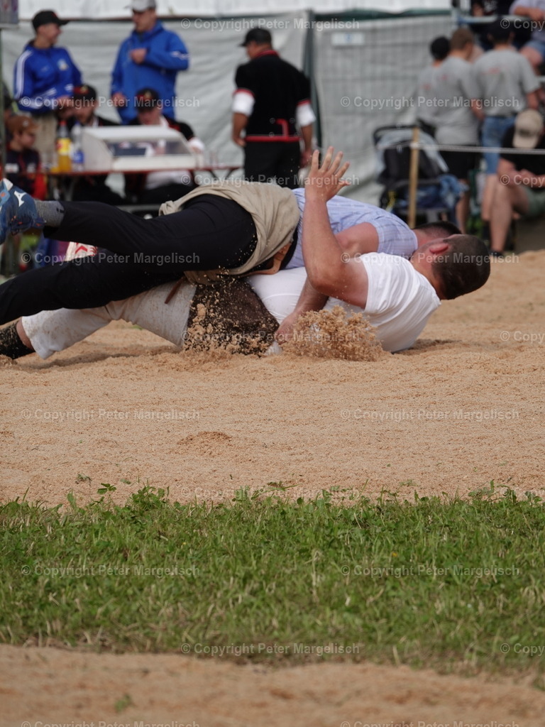 DSC06697 | Schwingen - Realisiert mit Pictrs.com