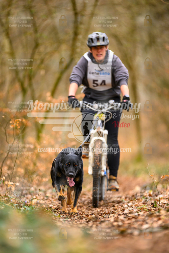 MompixPhotography_ReiatRennen2024_SO_Bike1H-84 | PayLife
