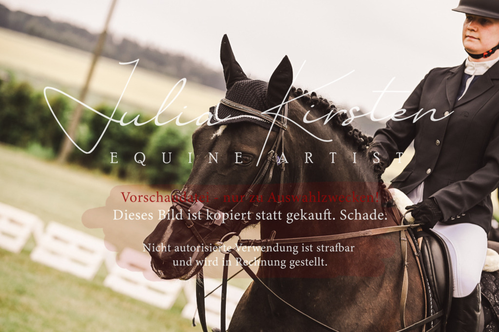 DSC_5121 | Pferde- und Turnierfotografie in Westsachsen. Pferdeportraits, Auftragszeichnungen und intuitive Kunst.