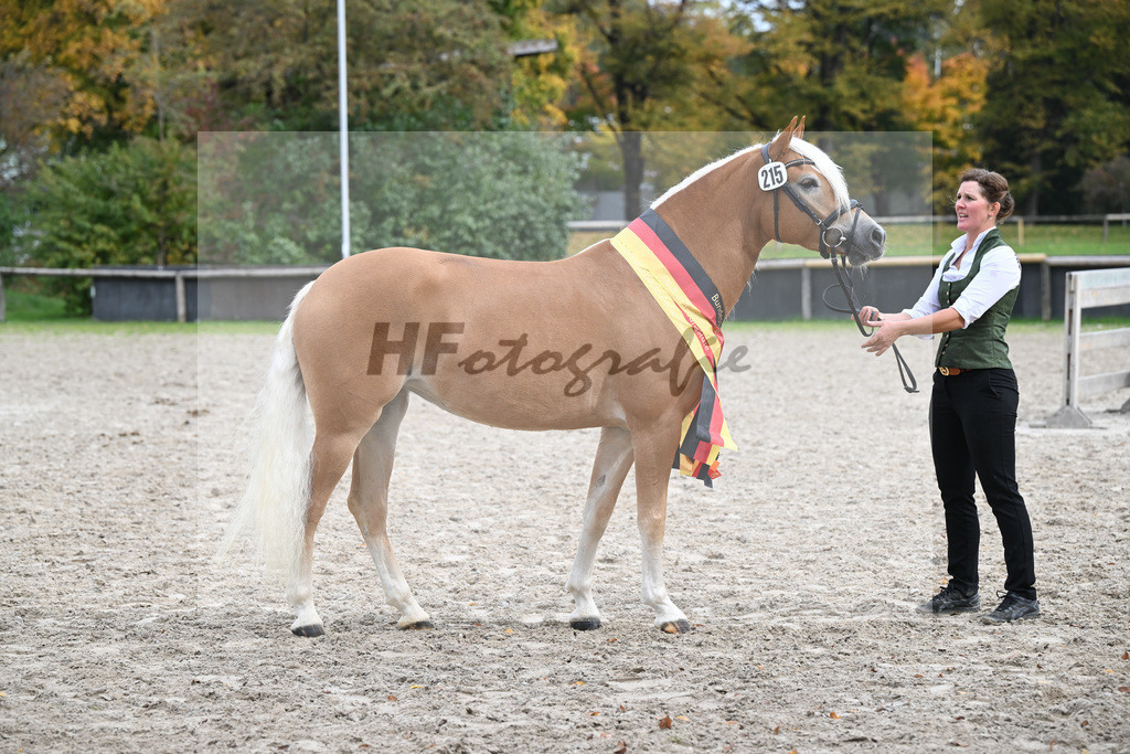 Kat-Nr. 215 Lady_Wagner_54223364 | hf-fotografie - Realisiert mit Pictrs.com