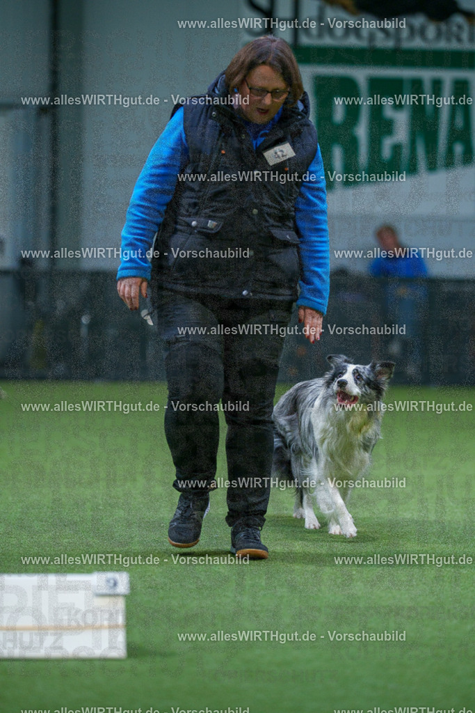 7R506289 | Professionelle Tierfotografie in Mönchengladbach von Daniel Wirth (allesWIRTHgut). Liebevolle & natürliche Bilder von Hunden & Katzen für unvergessliche Erinnerungen.