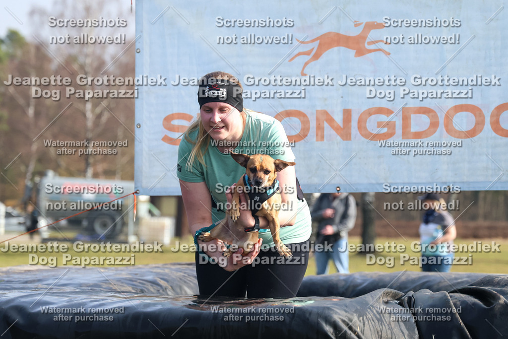 Dog Paparazzi - Strongdog North Mrz26-1555 | Dog Paparazzi Jeanette Grottendiek Fotografie & Videografie - Realisiert mit Pictrs.com