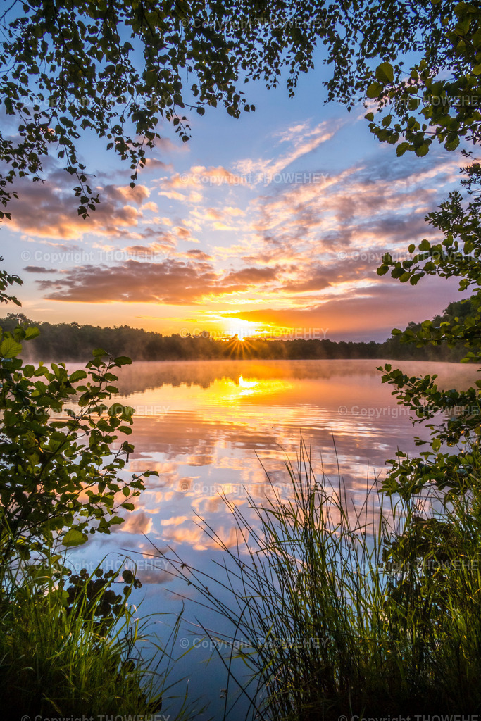 _2940138 | thowehey - Realisiert mit Pictrs.com