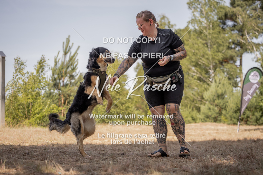 nelerasche_soDD2_264 | nelerasche