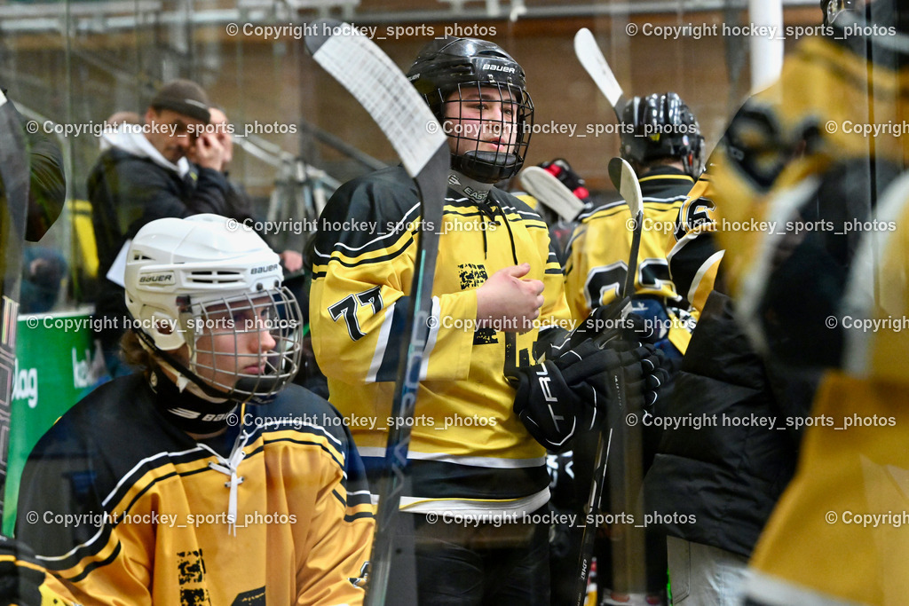 EC Kellerberg vs. EC Arnoldstein | Spielerbank EC Arnoldstein, #77 Cecon Igor EC Arnoldstein, EC Kellerberg vs. EC Arnoldstein, EC Kellerberg vs. EC Arnoldstein am 03.02.2025 in Villach (Stadthalle Villach), Austria, (Photo by Bernd Stefan)