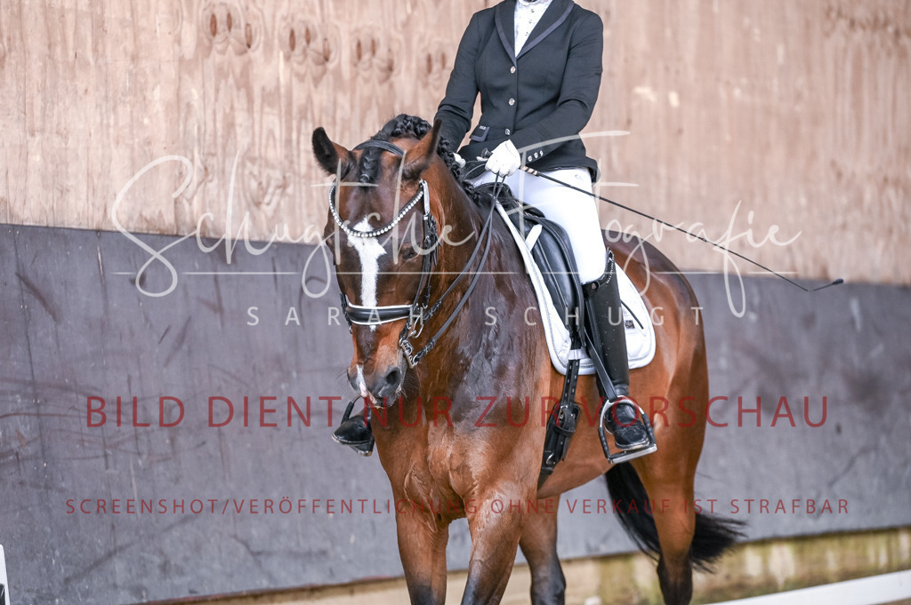 Schugtsche-Aluta25-56.Dressurprf.L1Kand.-86 | Schugtsche Fotografie - Realizzato con Pictrs.com