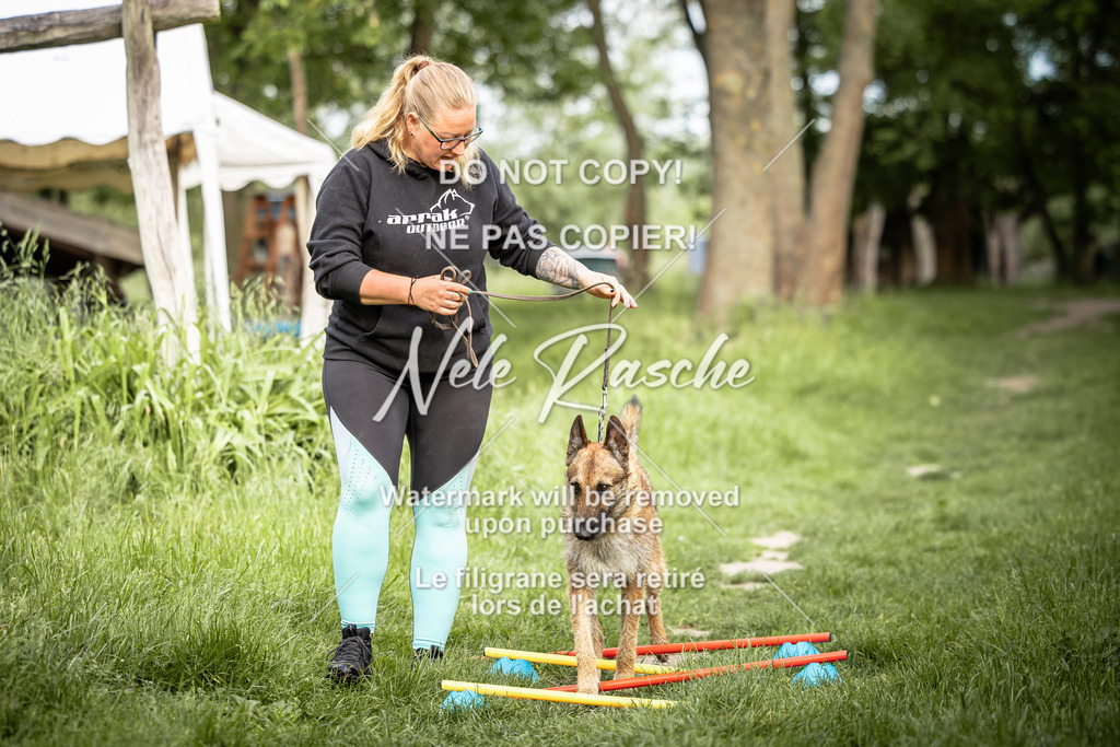 nelerasche_So-earlydog_32 | nelerasche