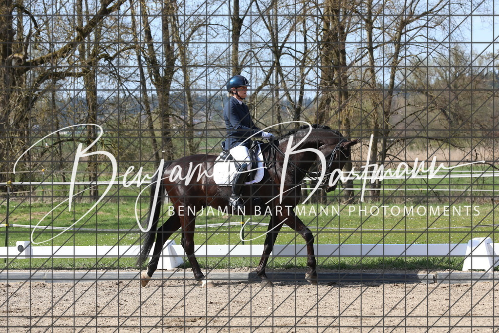 AZ2A6057 | Benjamin Bartmann Photomoments