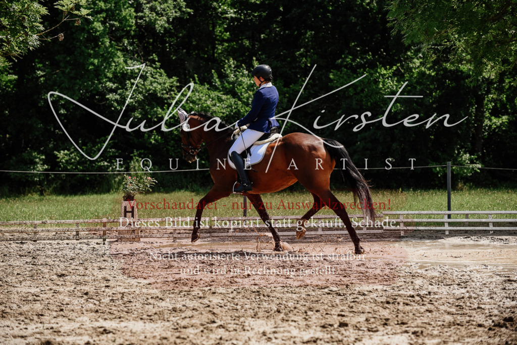 DSC_1226 | Pferde- und Turnierfotografie in Westsachsen. Pferdeportraits, Auftragszeichnungen und intuitive Kunst.