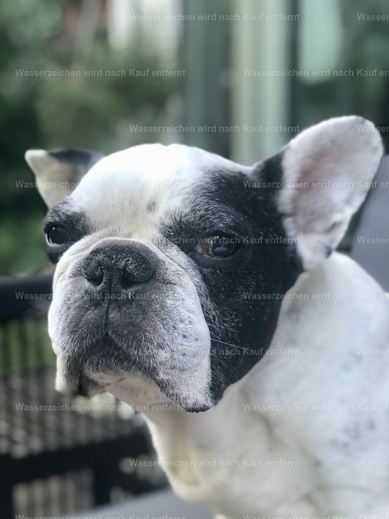 IMG_1348 | heikomoeller - Realisiert mit Pictrs.com