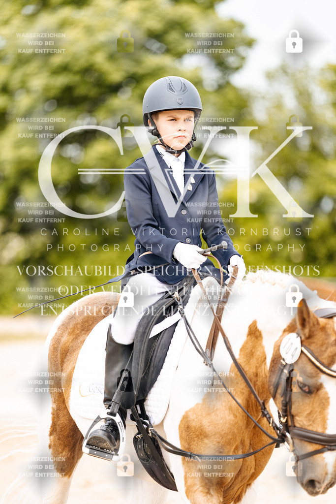 CK904570 | Turnierfotografie Pferdefotografie Trier Rheinland-Pfalz Pferdesport Reitsport Tierfotografie Sportfotografie Pferdevideo Pferdevideografie Equestrianvideography equestrianphotography  - Realisiert mit Pictrs.com