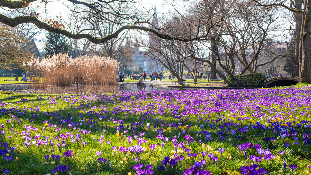 Freiburg | Bernd Kohlen - Fotograf | Bilder / Prints kaufen | Landschaften, Sport, Reportagen, Events, Hochzeiten, wedding, Tiere u.v.m. - Realisiert mit Pictrs.com