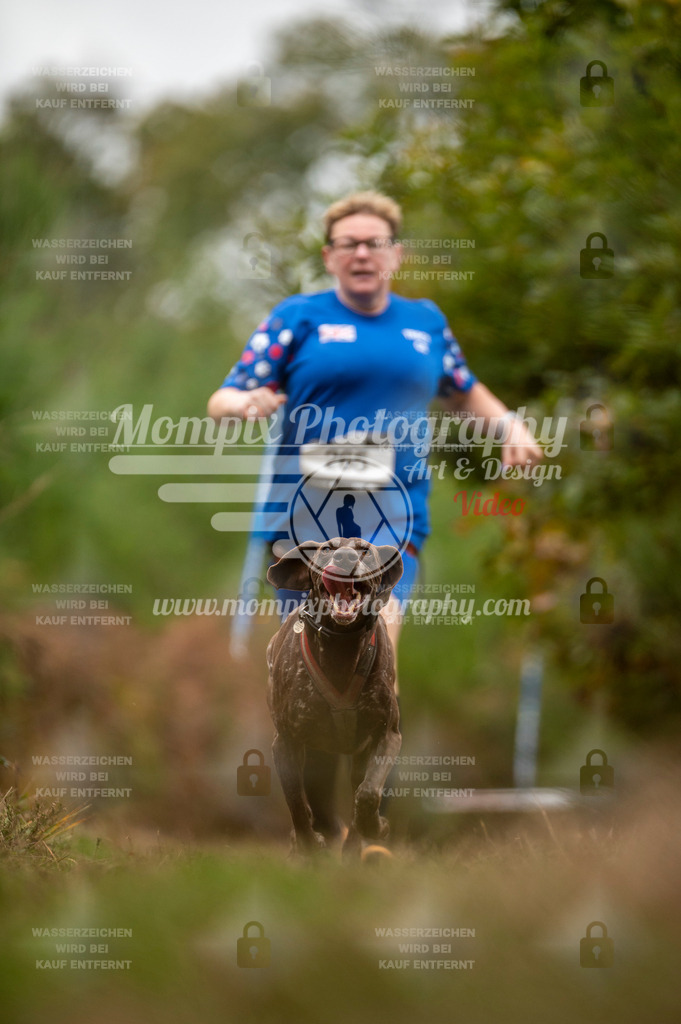 TSB_2023_E5_Canicross-139 | PayLife